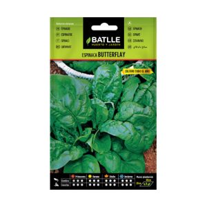 Espinaca butterflay Batlle