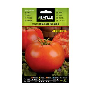 Tomate Barlaga Batlle