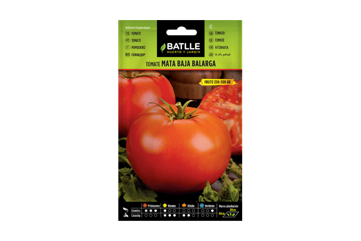 Tomate Barlaga Batlle