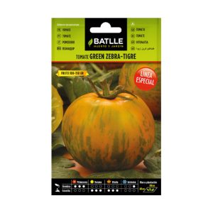 Tomate green zebra tigre batlle