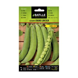 Guisante bajo lincoln