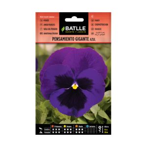 Pensamiento gigante batlle