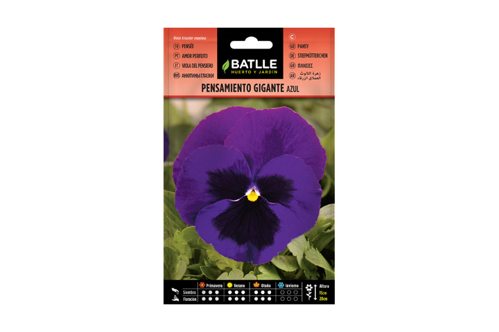 Pensamiento gigante batlle