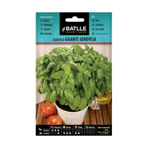 Albahaca genovesa batlle