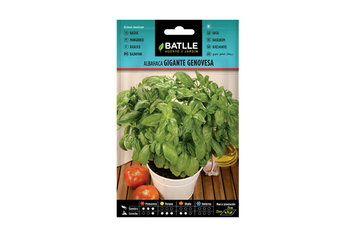 Albahaca genovesa batlle