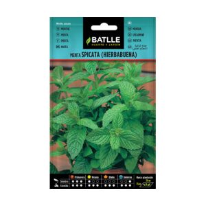 Mezcla spicata hierbabuena Batlle