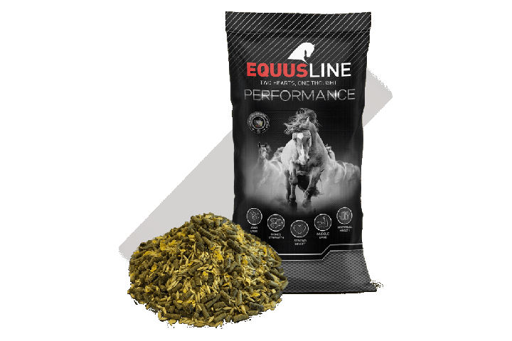 Sport mix Equus Line