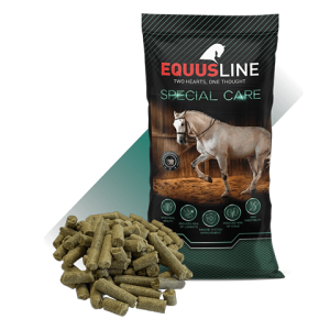 Equus Line Digest GS