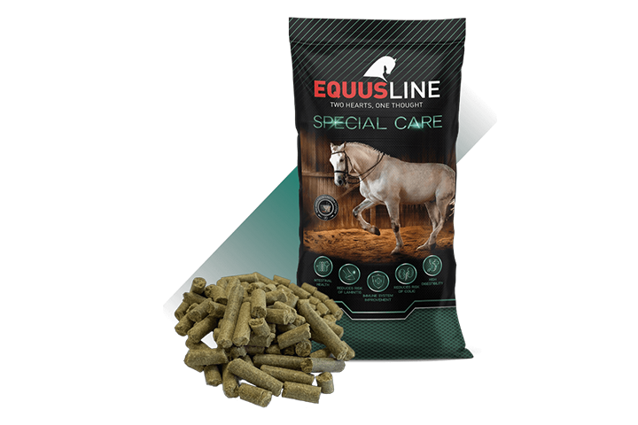 Equus Line Digest GS