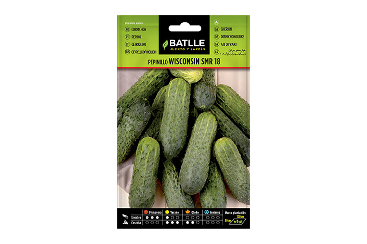Semillas de pepino wisconsin