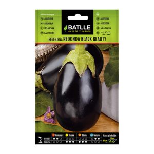 Semillas de berenjena black
