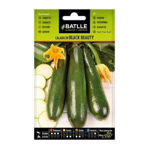 Semillas de calabacín black Beauty