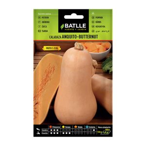 Semillas de calabaza anquito buttermut