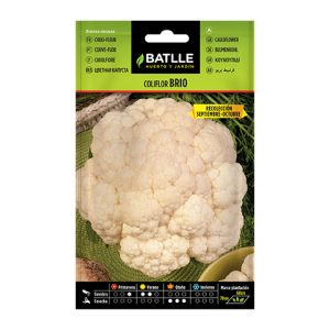 Semillas Batlle. Coliflor brio