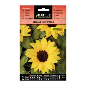 Semillas Batlle. Girasol enano amarillo