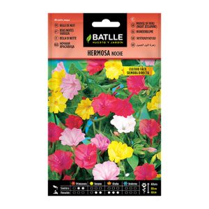 Semillas de Hermosa Noche