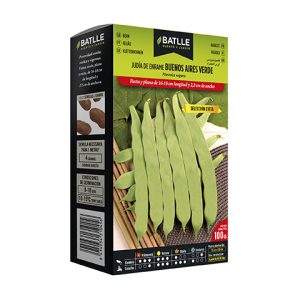 Semillas de judía Buenos Aires