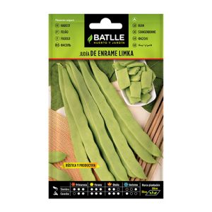 Semillas de judía de enrame limka